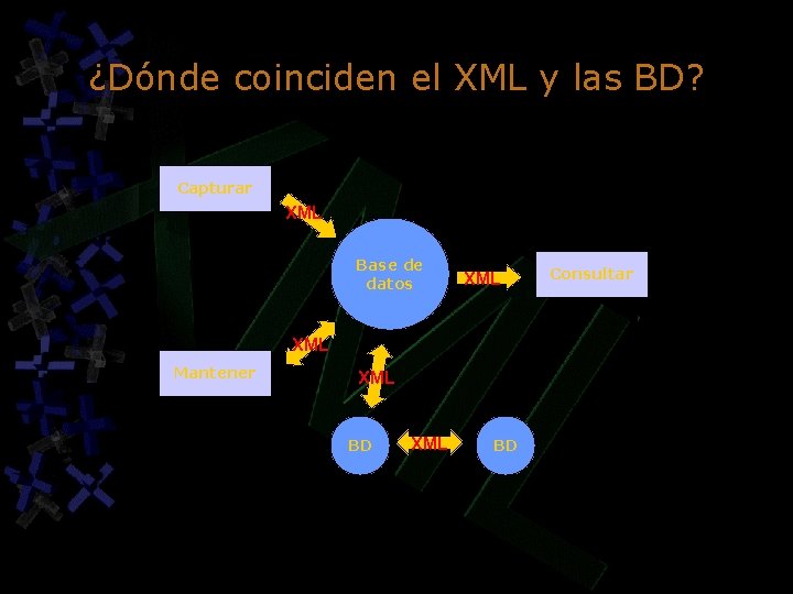 ¿Dónde coinciden el XML y las BD? Capturar XML Base de datos XML Mantener ¿Dónde coinciden el XML y las BD? Capturar XML Base de datos XML Mantener