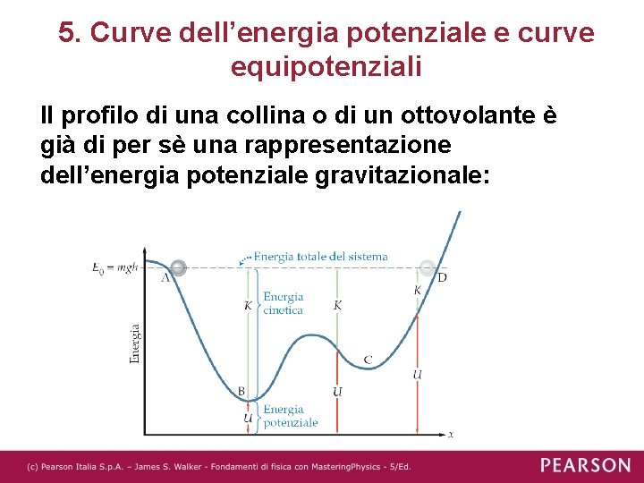 5. Curve dell’energia potenziale e curve equipotenziali Il profilo di una collina o di