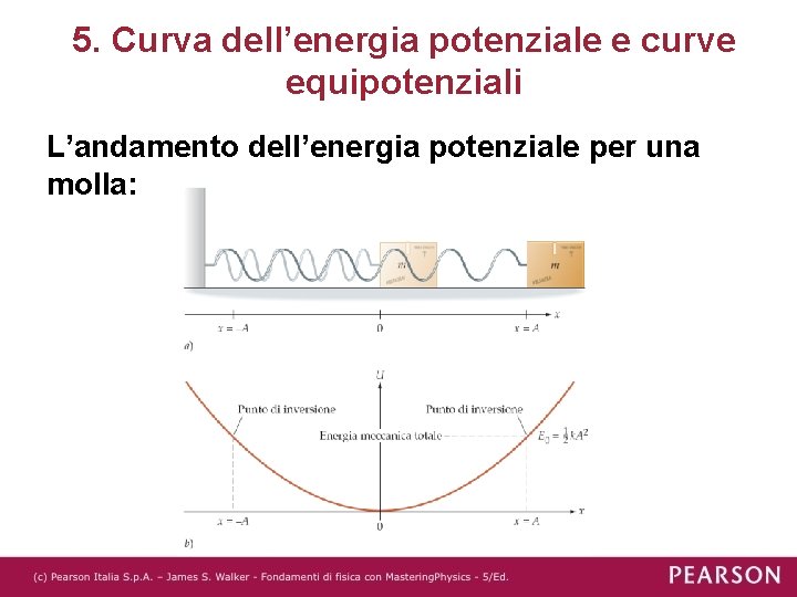 5. Curva dell’energia potenziale e curve equipotenziali L’andamento dell’energia potenziale per una molla: 