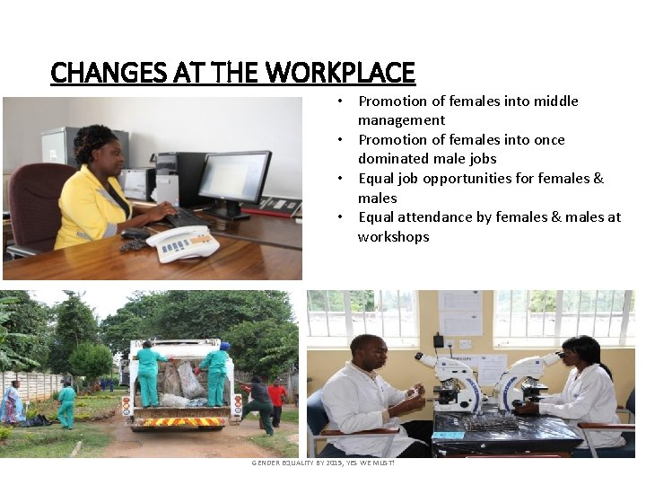 CHANGES AT THE WORKPLACE • Promotion of females into middle management • Promotion of