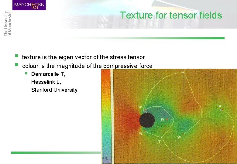 Texture for tensor fields § § texture is the eigen vector of the stress