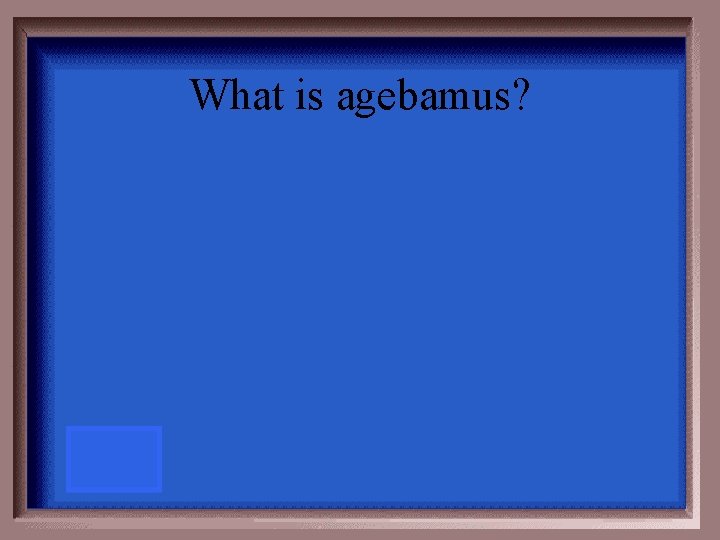 What is agebamus? 