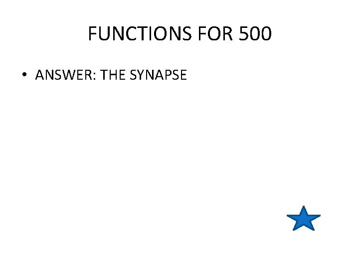 FUNCTIONS FOR 500 • ANSWER: THE SYNAPSE 