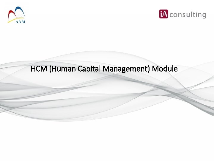 HCM (Human Capital Management) Module 