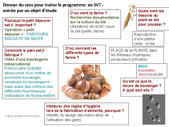 Donner du sens pour traiter le programme: en SVT - entrée par un objet