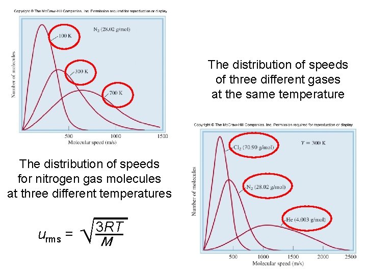 The distribution of speeds of three different gases at the same temperature The distribution