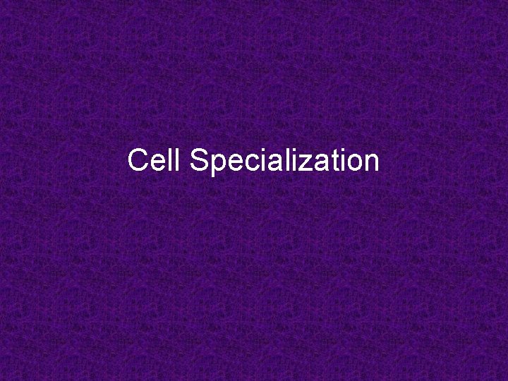 Cell Specialization 