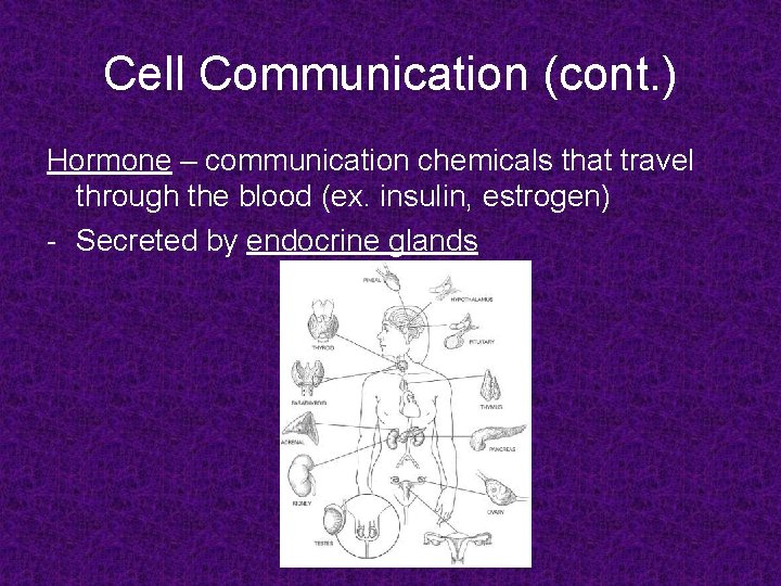 Cell Communication (cont. ) Hormone – communication chemicals that travel through the blood (ex.