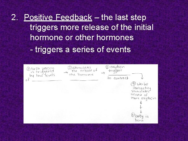 2. Positive Feedback – the last step triggers more release of the initial hormone 2. Positive Feedback – the last step triggers more release of the initial hormone