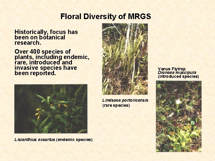 Floral Diversity of MRGS Historically, focus has been on botanical research. Over 400 species