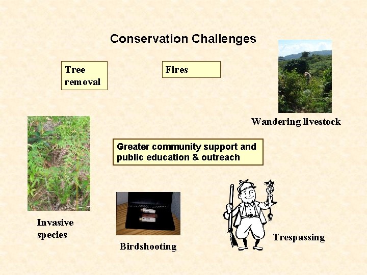 Conservation Challenges Tree removal Fires Wandering livestock Greater community support and public education &