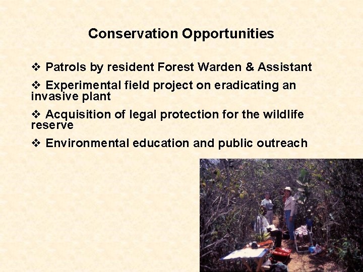 Conservation Opportunities v Patrols by resident Forest Warden & Assistant v Experimental field project