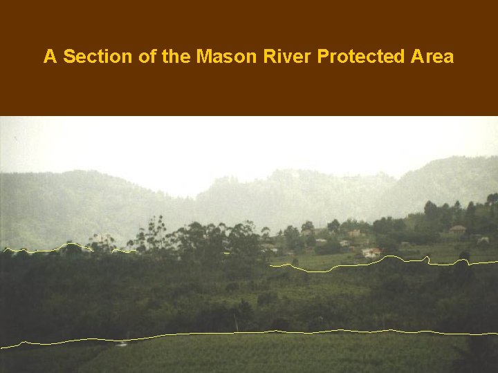 A Section of the Mason River Protected Area 