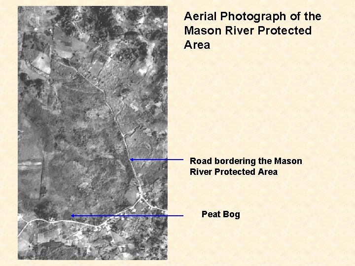 Aerial Photograph of the Mason River Protected Area Road bordering the Mason River Protected