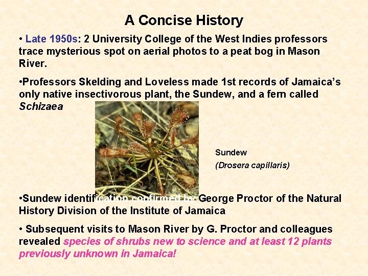 A Concise History • Late 1950 s: 2 University College of the West Indies