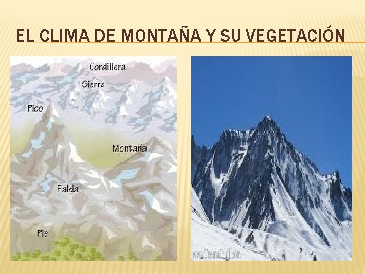 EL CLIMA DE MONTAÑA Y SU VEGETACIÓN EL CLIMA DE MONTAÑA Y SU VEGETACIÓN