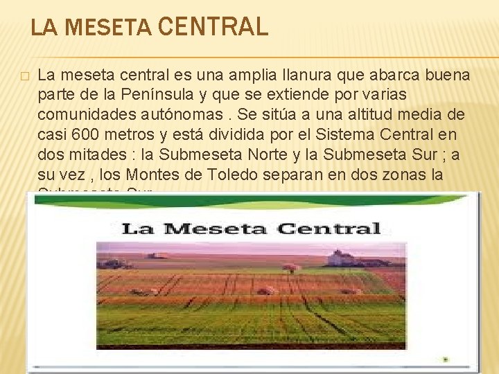 LA MESETA CENTRAL � La meseta central es una amplia llanura que abarca buena LA MESETA CENTRAL � La meseta central es una amplia llanura que abarca buena