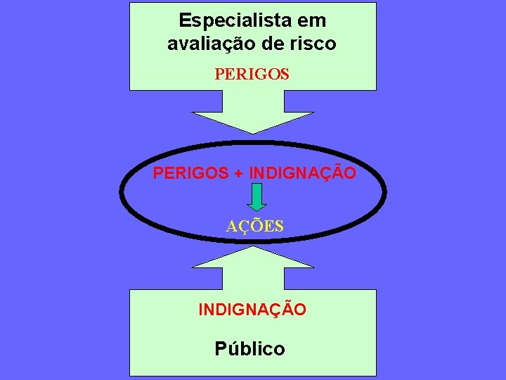 Especialista em avaliação de risco PERIGOS + INDIGNAÇÃO AÇÕES INDIGNAÇÃO Público 