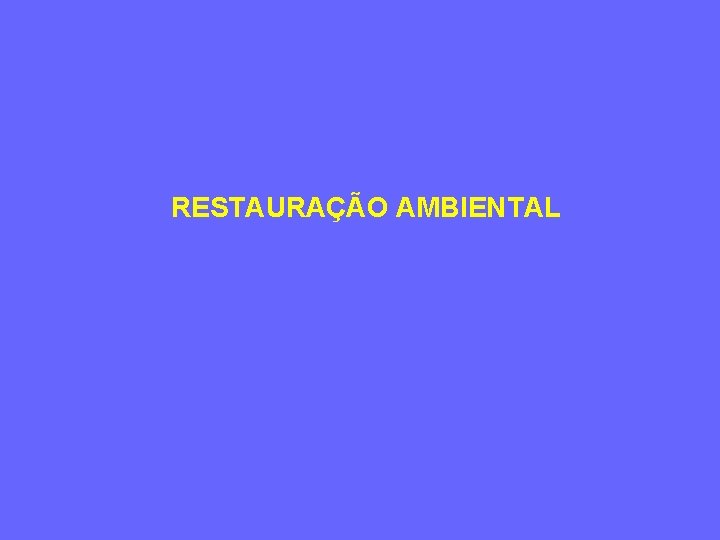 RESTAURAÇÃO AMBIENTAL 