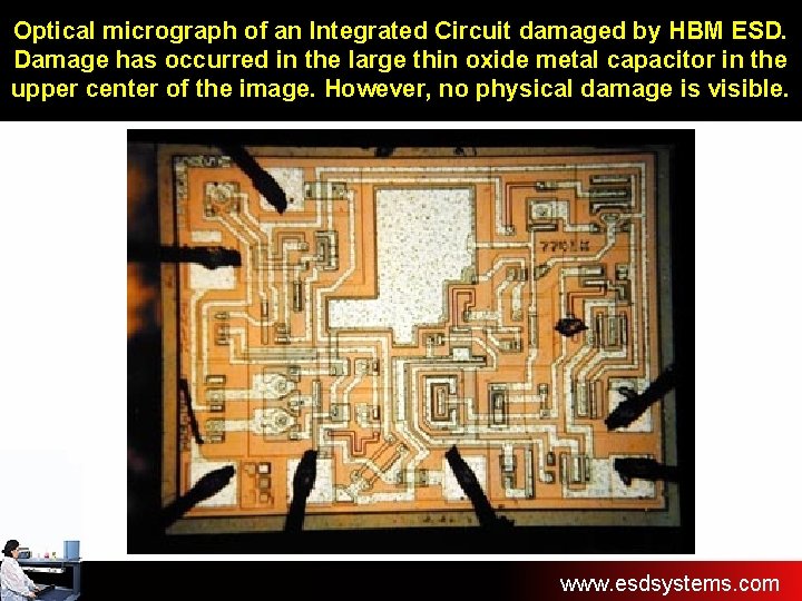 Optical micrograph of an Integrated Circuit damaged by HBM ESD. Damage has occurred in