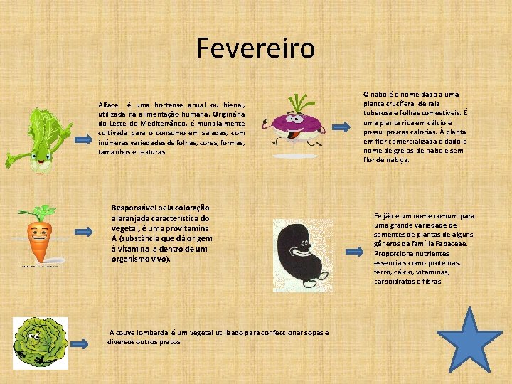 Fevereiro Alface é uma hortense anual ou bienal, utilizada na alimentação humana. Originária do