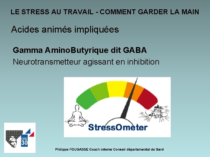 LE STRESS AU TRAVAIL - COMMENT GARDER LA MAIN Acides animés impliquées Gamma Amino.