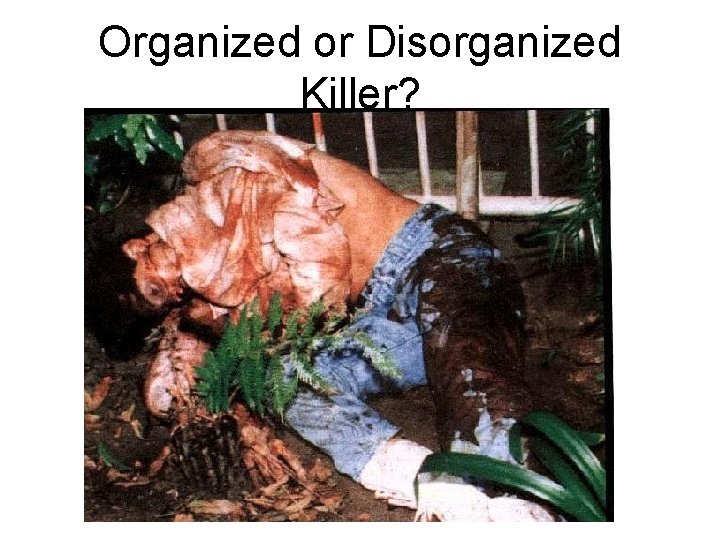 Organized or Disorganized Killer? 