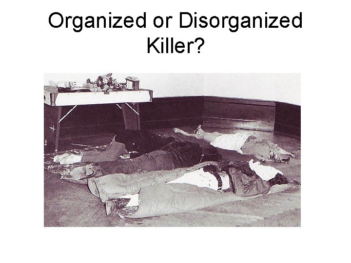 Organized or Disorganized Killer? 