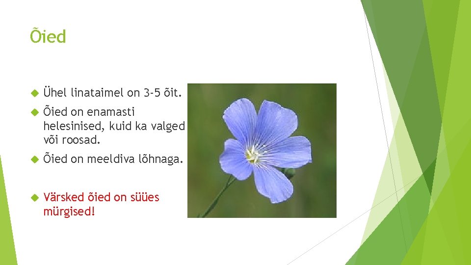 Õied Ühel linataimel on 3 -5 õit. Õied on enamasti helesinised, kuid ka valged