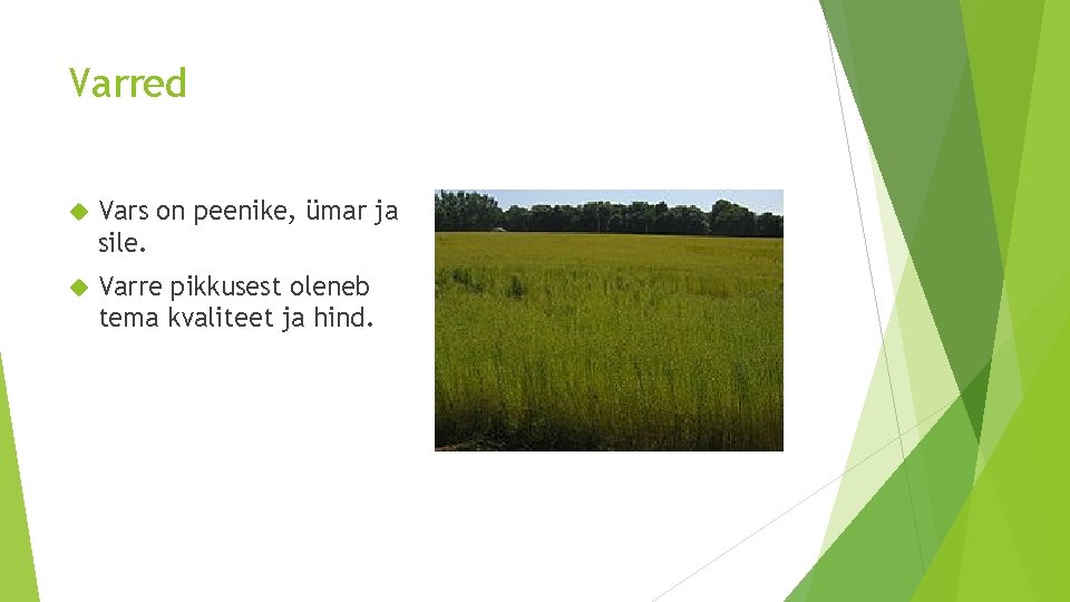 Varred Vars on peenike, ümar ja sile. Varre pikkusest oleneb tema kvaliteet ja hind.