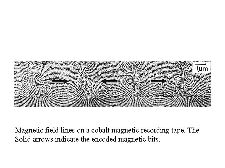 Magnetic field lines on a cobalt magnetic recording tape. The Solid arrows indicate the
