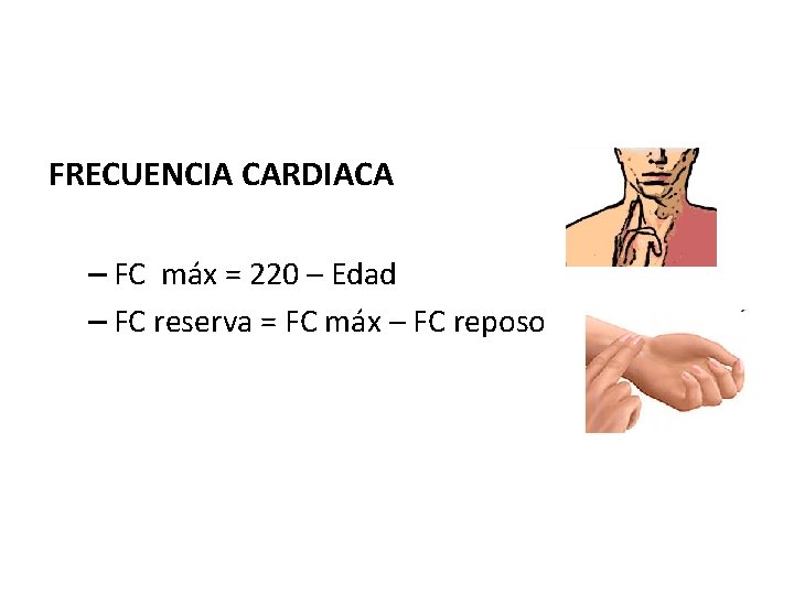 FRECUENCIA CARDIACA – FC máx = 220 – Edad – FC reserva = FC