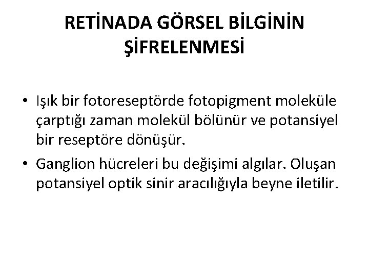 RETİNADA GÖRSEL BİLGİNİN ŞİFRELENMESİ • Işık bir fotoreseptörde fotopigment moleküle çarptığı zaman molekül bölünür