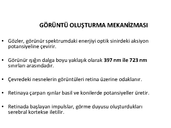 GÖRÜNTÜ OLUŞTURMA MEKANİZMASI • Gözler, görünür spektrumdaki enerjiyi optik sinirdeki aksiyon potansiyeline çevirir. •