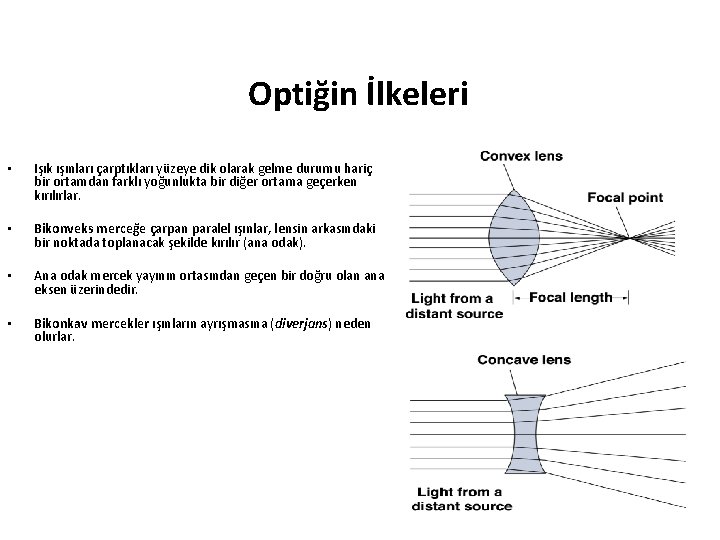 Optiğin İlkeleri • Işık ışınları çarptıkları yüzeye dik olarak gelme durumu hariç bir ortamdan