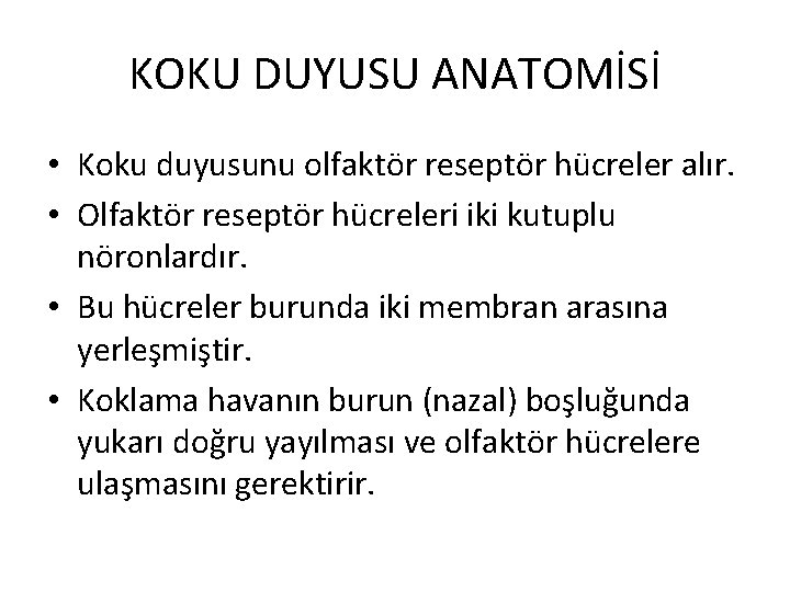 KOKU DUYUSU ANATOMİSİ • Koku duyusunu olfaktör reseptör hücreler alır. • Olfaktör reseptör hücreleri