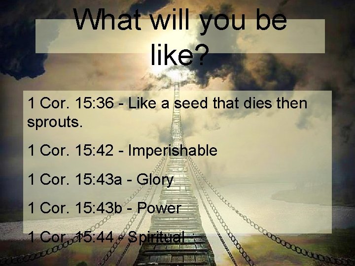 What will you be like? 1 Cor. 15: 36 - Like a seed that What will you be like? 1 Cor. 15: 36 - Like a seed that