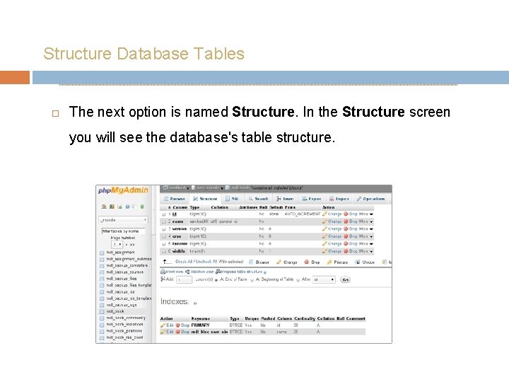 Structure Database Tables The next option is named Structure. In the Structure screen you