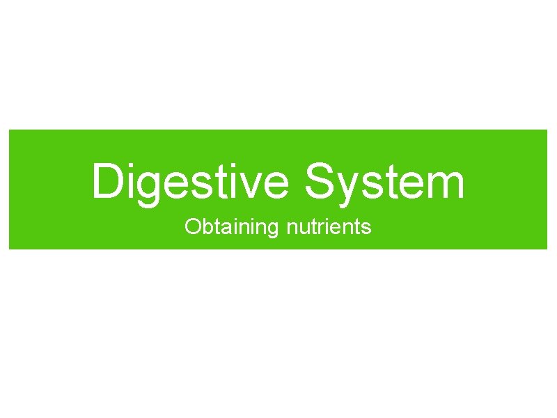 Digestive System Obtaining nutrients 