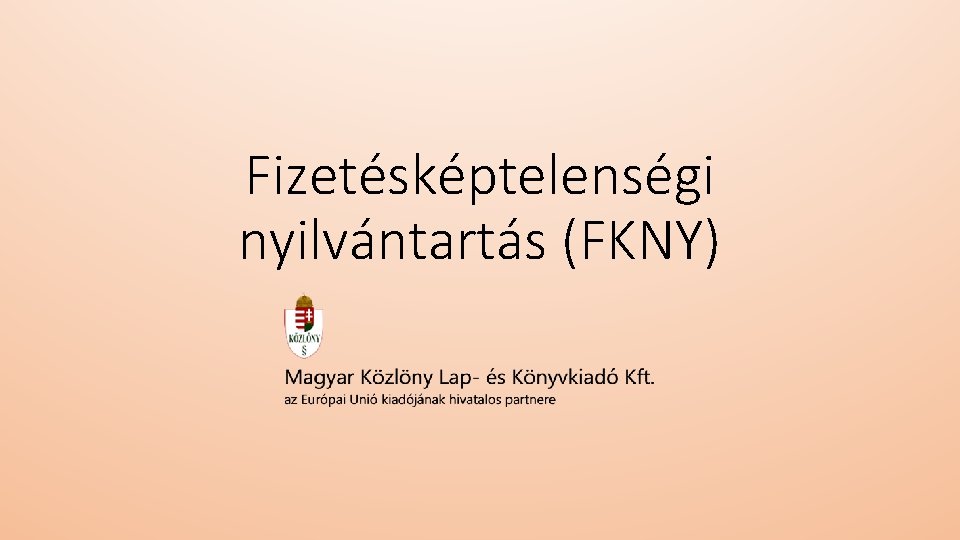 Fizetésképtelenségi nyilvántartás (FKNY) 