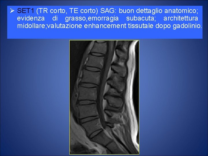 Ø SET 1 (TR corto, TE corto) SAG: buon dettaglio anatomico; evidenza di grasso,