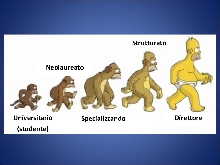 Strutturato Neolaureato Universitario (studente) Specializzando Direttore 