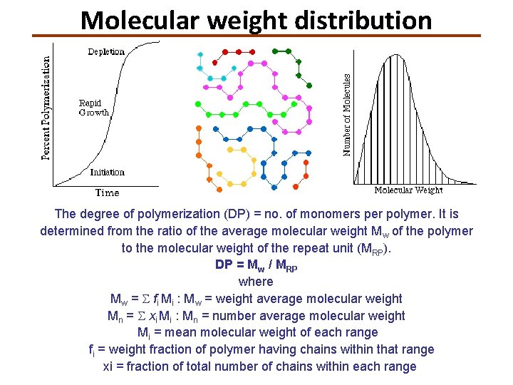 Molecular weight distribution The degree of polymerization (DP) = no. of monomers per polymer.