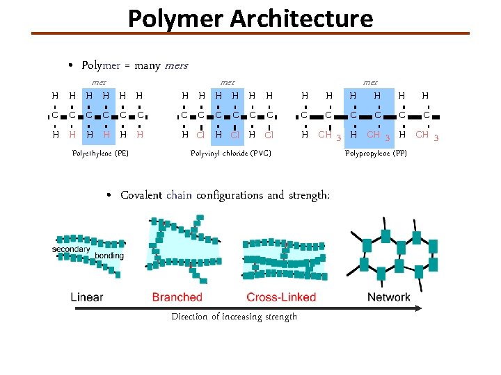 Polymer Architecture • Polymer = many mers mer H H H C C C