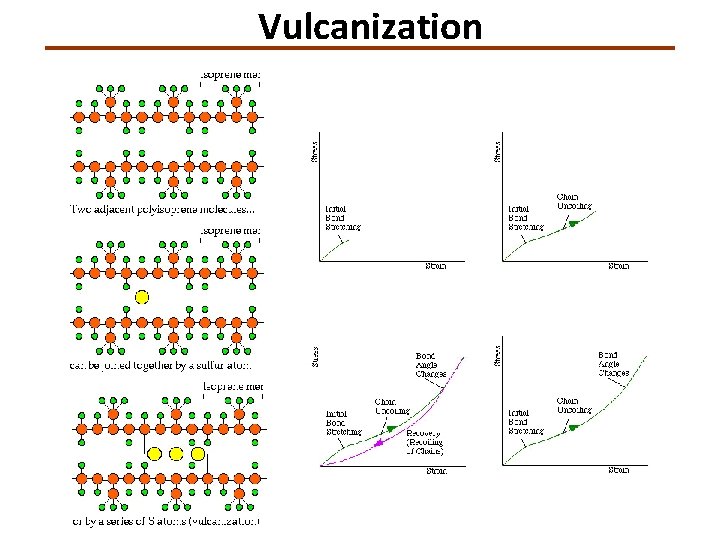 Vulcanization 