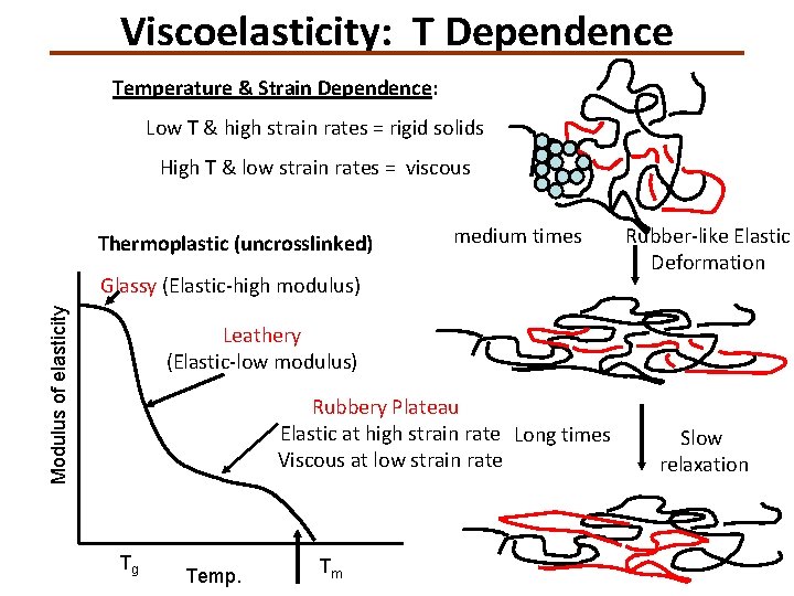 Viscoelasticity: T Dependence Temperature & Strain Dependence: Low T & high strain rates =