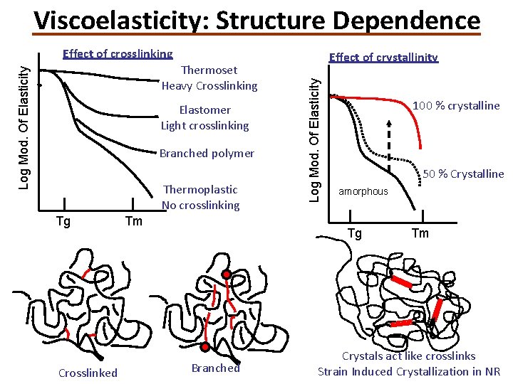 Viscoelasticity: Structure Dependence Effect of crosslinking Elastomer Light crosslinking Branched polymer Thermoplastic No crosslinking