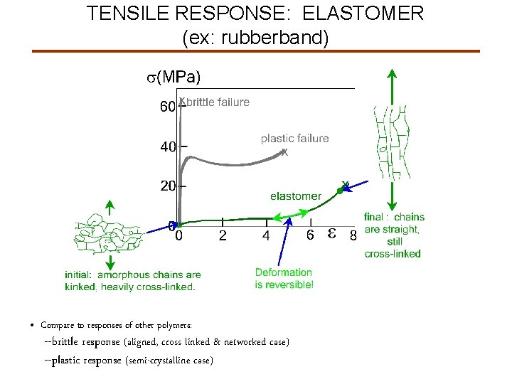 TENSILE RESPONSE: ELASTOMER (ex: rubberband) • Compare to responses of other polymers: --brittle response