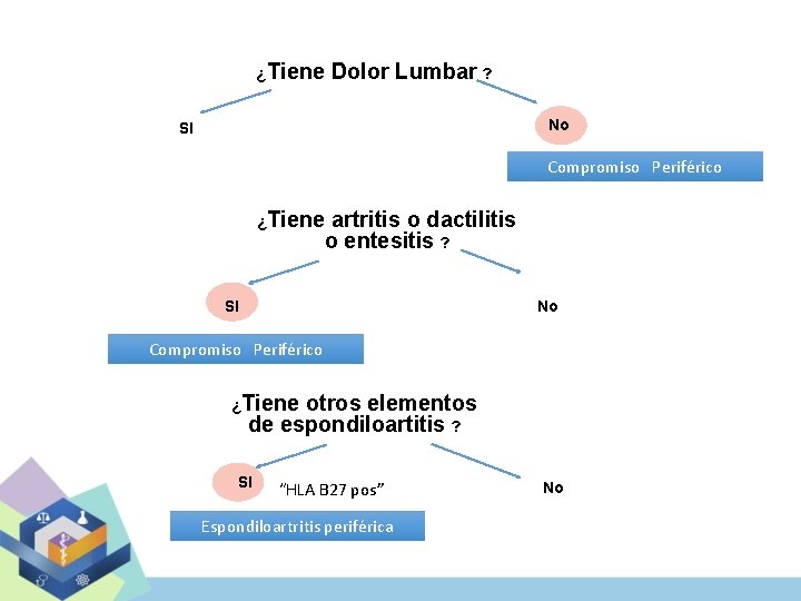 ¿Tiene Dolor Lumbar ? No SI Compromiso Periférico ¿Tiene artritis o dactilitis o entesitis