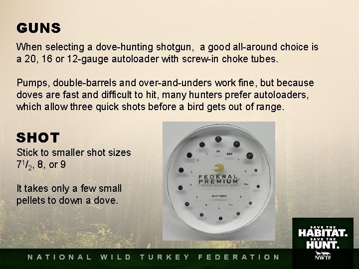 GUNS When selecting a dove-hunting shotgun, a good all-around choice is a 20, 16 GUNS When selecting a dove-hunting shotgun, a good all-around choice is a 20, 16